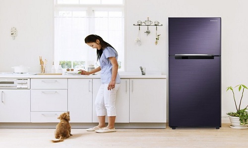 sửa tủ lạnh truyền thống nam định 0985667956